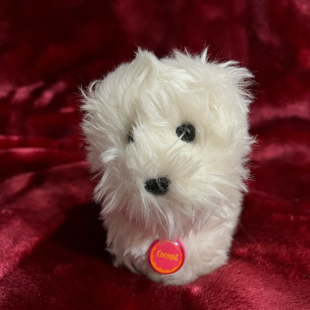 American Girl Coconut Pet Set